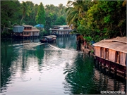 _DSF9652 (Copy)